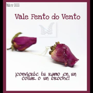 Vale1